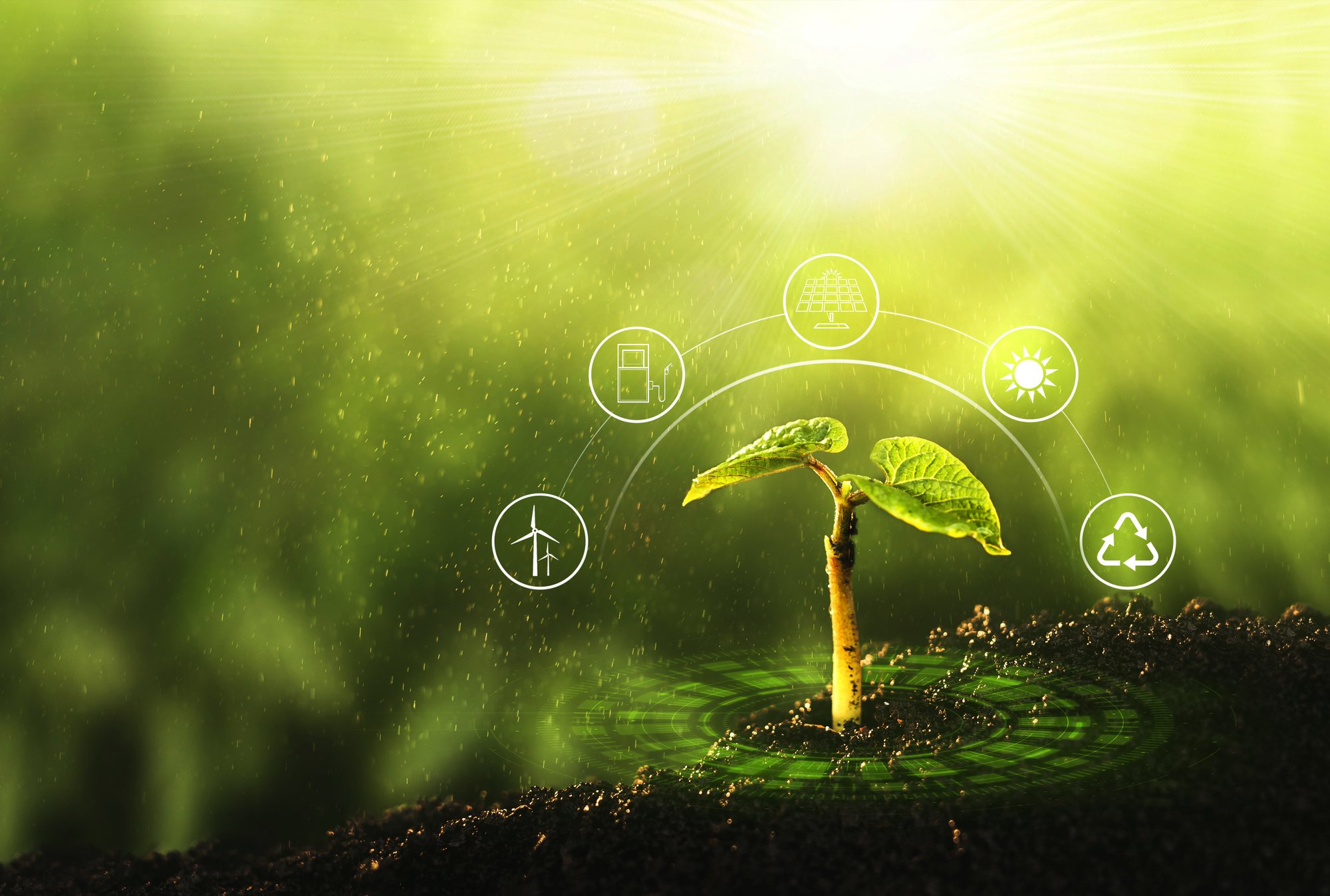 AdobeStock_403313708